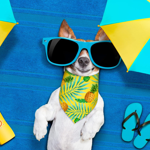 12 Pañuelos De Sublimación Para Perros, Lisos, A Granel, T
