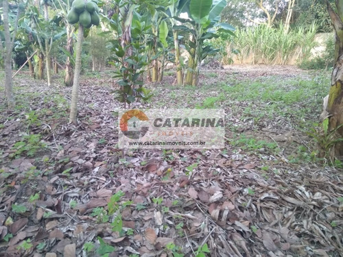 Imagem 4 de 10 de Lindo Terreno Com Topografia Plana!