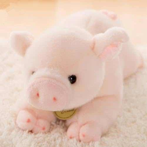 Peluche Aurora. LĂnea Miyoni Cerdo