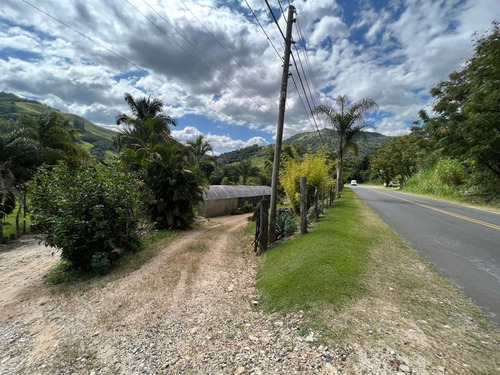 Imagem 18 de 30 de Chácara 2048m2, Casa Sede, Loja, Depósito, Viveiro De Plantas Com Estufa, Acesso Asfaltado, Poço Caipira, Ótima Localização - Ch00256 - 70814196