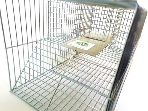 Ratoeira Para Ratos E Camundongos Fundo-falso Grande