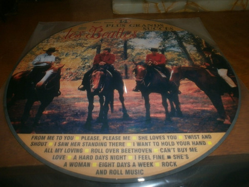 Les Beatles Plus Grand Succes Picture Disc  Lp