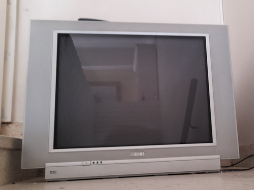 Televisor Philips 29  Pantalla Plana Impecable