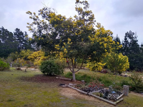 Venta De Parcela En Algarrobo 5300 M2 Casa De 120 M2