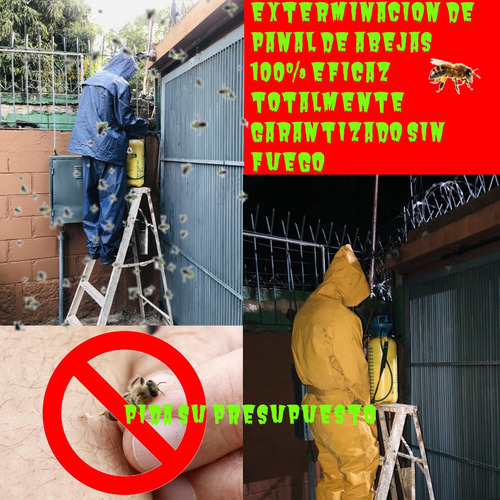 Imagen 4 de 10 de Fumigación Profesional Control De Plagas Exterminio Abejas