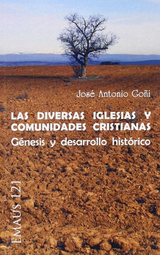 Las Diversas Iglesias Y Comunidades Cristianas, De Goñi Beasoain De Paulorena, José Antonio. Editorial Centre De Pastoral Litúrgica, Tapa Blanda En Español
