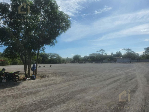 Terreno De 1.3 Hectareas En Renta, Se Encuetra A Pie De Carretera