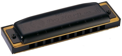 Gaita De Boca Harmonica Diatonica Ms-series Pro Harp Hohner