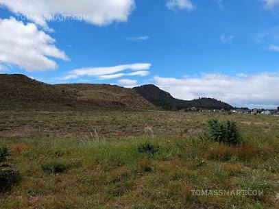 Imagen 4 de 6 de Terreno - Dina Huapi