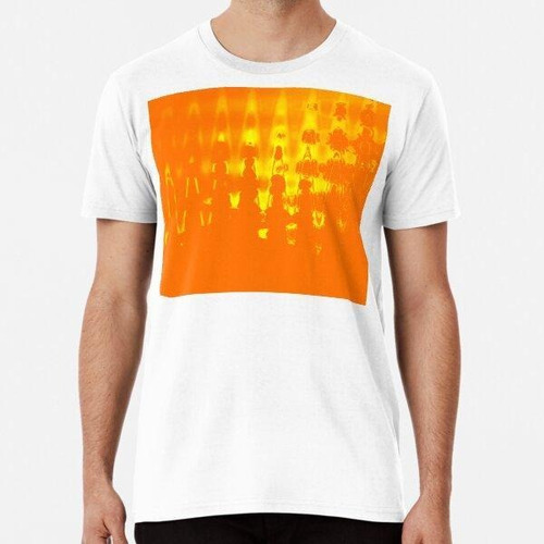 Remera Lo-fi Groovers Big Orange Algodon Premium 