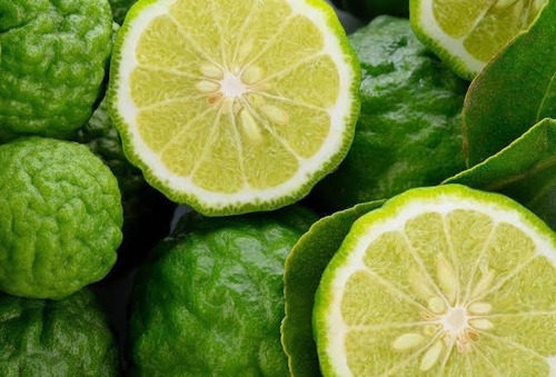 Kaffir Limon , Arbolito 1.8 Metros Pregunte Costo De Envio
