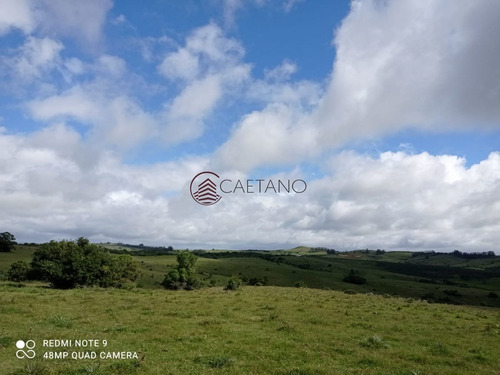 Imagen 10 de 25 de Venta De Campo, Maldonado.campo De 41 Hectáreas, Próximo A Pueblo Edén - Pueblo Eden