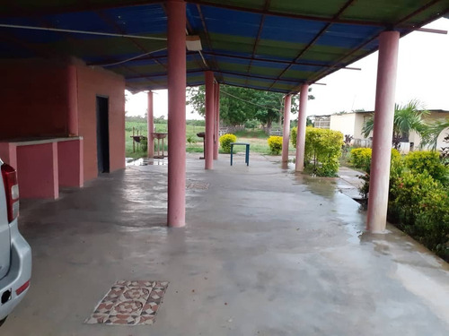 Imagen 7 de 15 de Finca En Venta, San Mateo, Anzoategui