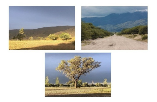 Imagen 3 de 3 de En Venta 140ha Chacras De Nogolí San Luis