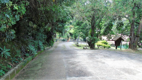 Chácara À Venda Em Vale Verde - Ch257334