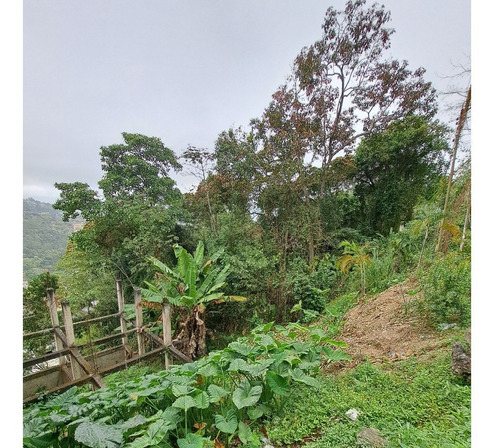 Imagen 2 de 5 de Terreno En Venta Municipio Turumo Caracas
