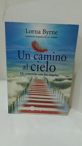 Un Camino Al Cielo Lorna Byrne Original Usado 
