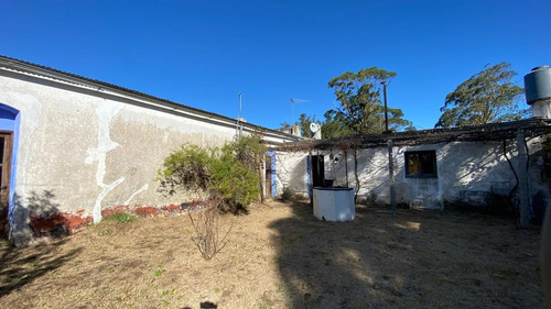 Imagen 9 de 30 de Se Vende Campo De 77 Has En Maldonado. A Pocos Km De Aiguá En Zona De Ruta 39. Ubicación Privilegiada!