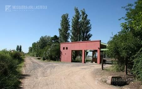 Mosquera Y Gallastegui - Casa - La Ranita