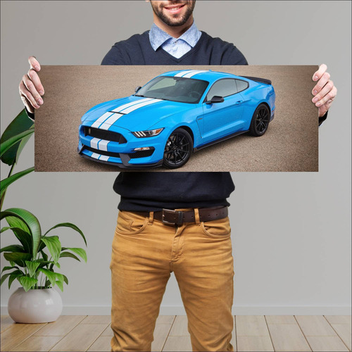 Cuadro 30x80cm Auto 2016 Shelby Gt350 Mustang 42 175