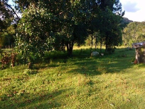 Imagem 1 de 14 de Terreno De Chacara - 0 - 4410795