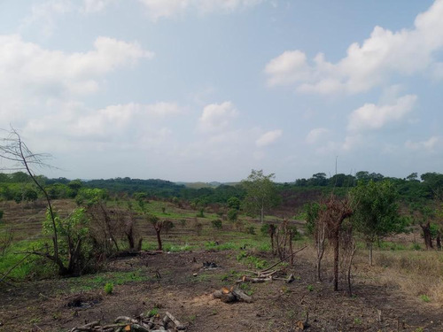 Venta De Terrenos Colonia Altamira Tuxpan Veracruz.