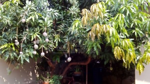 Imagem 5 de 6 de Venda De Casas / Padrão Na Cidade De Araraquara 5536