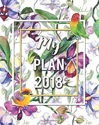 My Plan 2018 Full Color Calendar Schedule Plan And Organize 