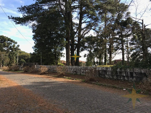 Imagem 5 de 5 de Área Central Para Empreendimentos - 217