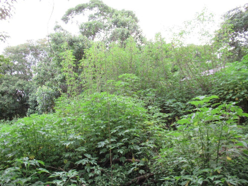 Granja Viana Jardim Colibri - Cotia/sp - Te9291