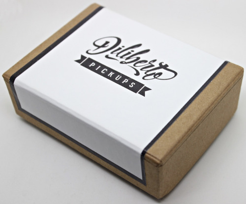 Microfonos Diliberto Pickups St Custom Jm