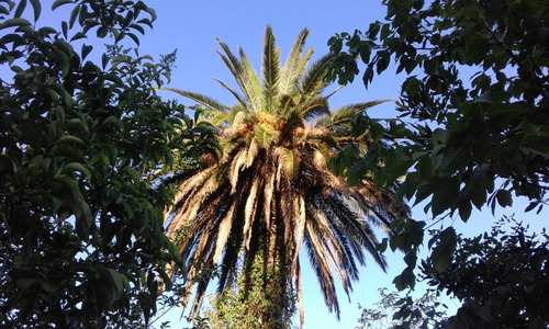 Terreno Venta Paso De La Arena Parque Tomkinson Ideal Emprendimiento O Proyecto Consulte Financiado Permuta