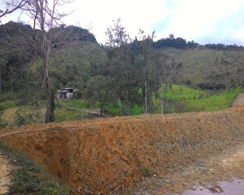 Imagem 29 de 30 de Fazenda - 0195 - 32820324