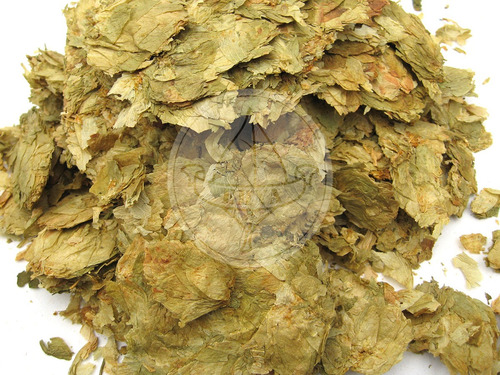 Lúpulo Flor 500g Prod. Herbal P/ Te O Infusión