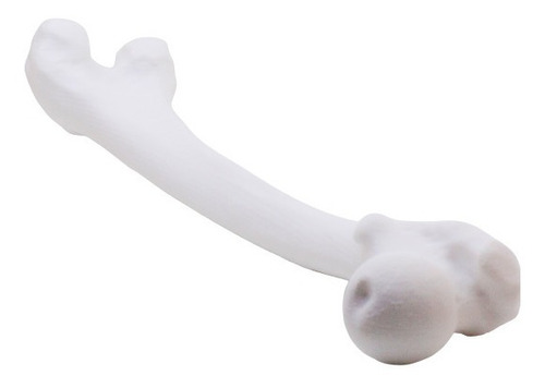 Hueso Femur Escalado 37cm Humano Impreso En 3d 3dimpressions