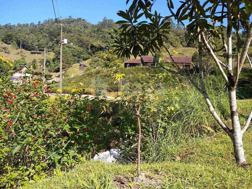 Imagem 6 de 30 de Chácara À Venda No Bairro Tiroleses - Timbó/sc - 2309c