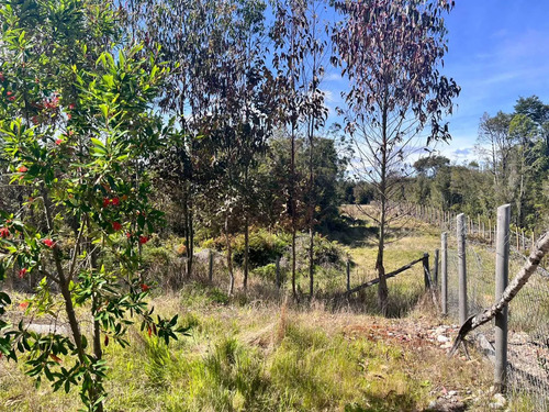 Inversión Segura En Entorno Con Bosque (132193)