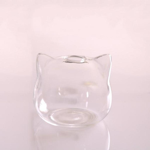 Cabeça De Gato Planta Hidropônica Vaso De Flores