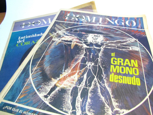 Revista Domingo El Mercurio Corazon Gran Mono (2)