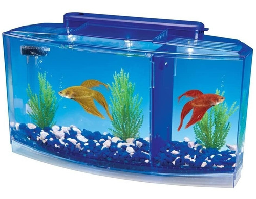 Pecera Para Bettas Penn Plax Con 3 Divisiones Y Luz
