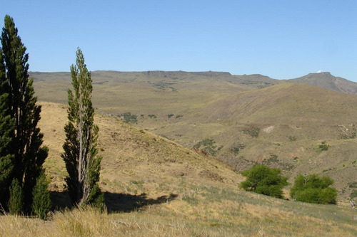 Imagen 10 de 30 de Campo En Venta Zona Alumine, Neuquén