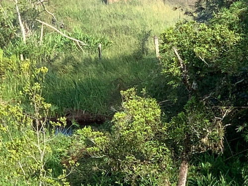 Imagem 1 de 14 de T20- Lotes Com Paz E Sossego Em Jacarei Lotes Privilegiados
