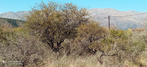 Imagen 3 de 9 de T36 - Lote De 1.250 M2 Camino Al Dique La Viña Quebrada De Los Pozos