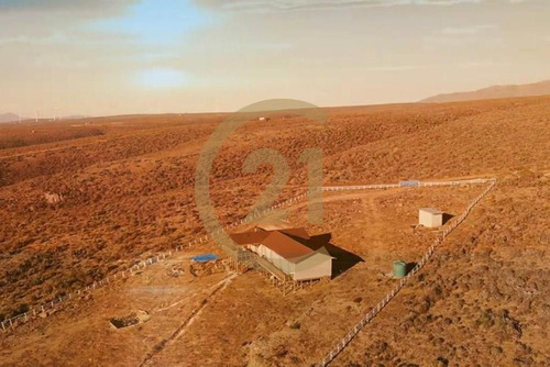Hermosa Parcela Entre Tongoy Y Los Vilos.