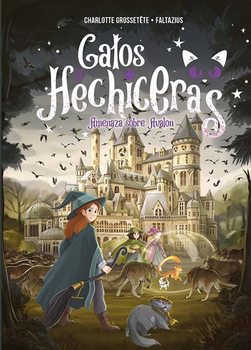 Gatos Y Hechiceras - Vol Ii: Amenaza Sobre Avalon: 2 -picaro