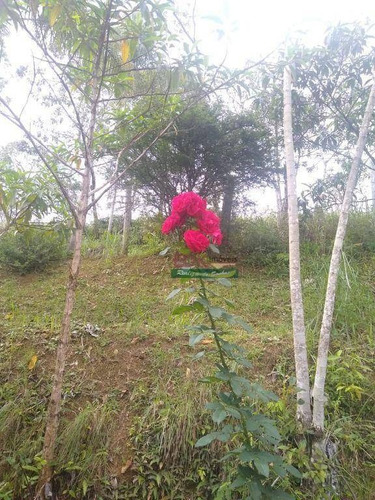 Imagem 17 de 30 de Chácara Com 2 Dormitórios À Venda, 48000 M² Por R$ 700.000,00 - Zona Rural - Monteiro Lobato/sp - Ch0235