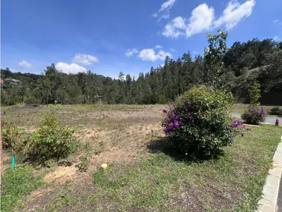 Lote y casalote en venta