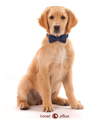 Collar De Perro Lionet Paws Con Pajarita, Cómodo Y Ajustable