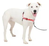 Comprar Arnés De Adiestramiento Anti Tirones Para Perros Con Anillo