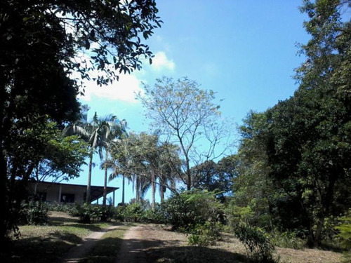 Imagem 5 de 15 de Chácara Em Santo André - Mv5352
